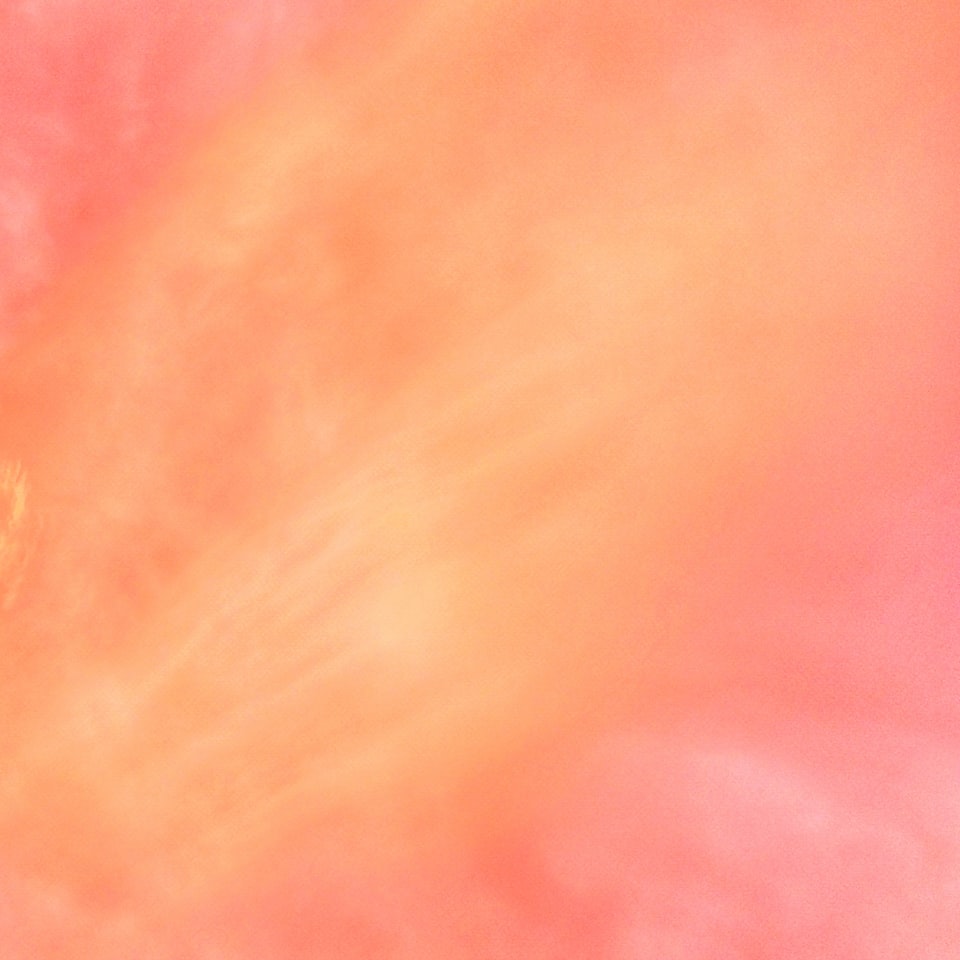 Natural CD Pink