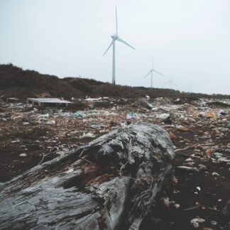 Shower Rooster Plastic